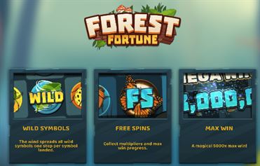 Speel Play Forest Fortune Slot