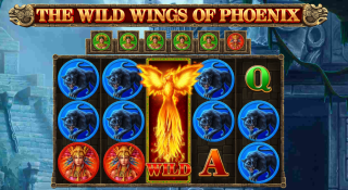 The Wild Wings Of Phoenix